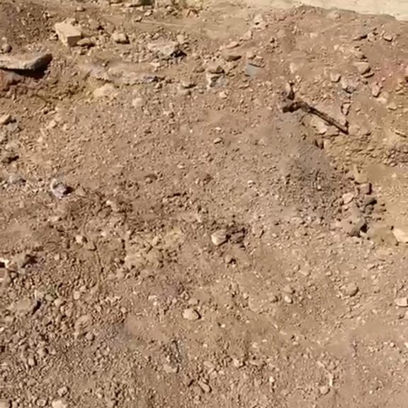 ماموران سپاه پاسداران پیکر رضا حقیقتنژاد را بدون اطلاع خانواده دفن کردند