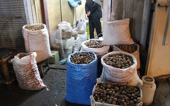 دادستان اسدآباد همدان خرید و فروش گردو را تا نیمه شهریور ممنوع اعلام کرد