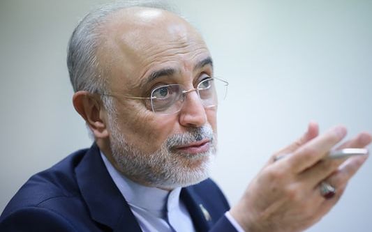 رییس پیشین سازمان انرژی اتمی: تا رسیدن به قلههای اهداف انقلاب شاید زمان نیاز باشد