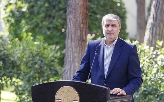 تهران: اخراج بازرسان آژانس بینالمللی به دلیل «رفتار سیاسی تند» آنها بوده است