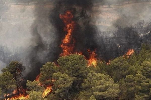 Wildfires Ravage Iran’s Hyrcanian Forests For Fifth Consecutive Day