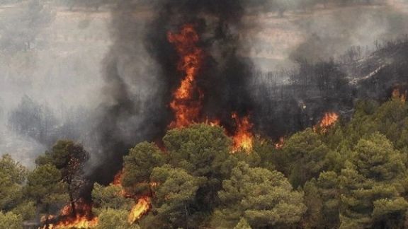Forest fire in northern Iran