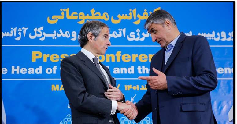 Iran Display Experts in Iran Display Divergent Responses to IAEA Chief's Visit ...