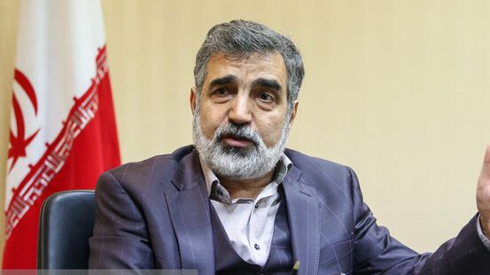 سخنگوی سازمان انرژی اتمی: صدای آژیر سازمان انرژی اتمی، عادی و برای آزمایش دستورالعملهاست