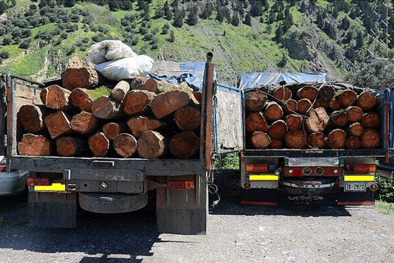 روزنامه همشهری: گردش مالی قاچاق چوب در ایران طی سال ۹۹ به ۱۰۰ میلیارد تومان رسید