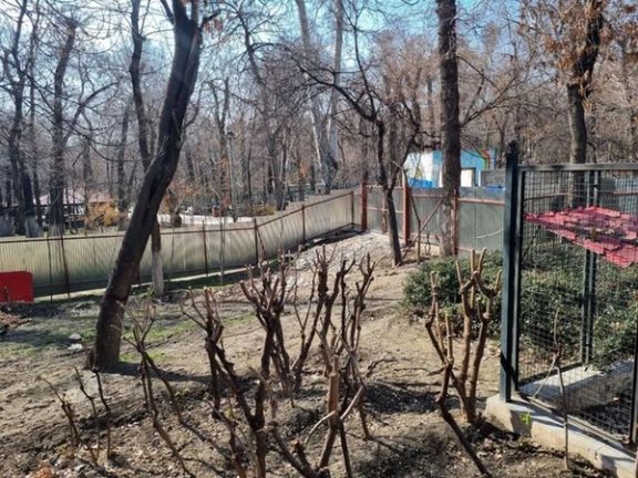 عضو شورای شهر تهران: فرد تامینکننده هزینه ساخت مسجد پارک قیطریه، انصراف داد