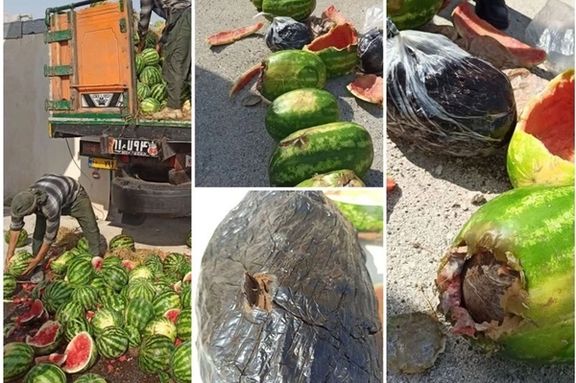 فرمانده انتظامی عسلویه از کشف ۱۰۶ کیلوگرم تریاک از یک کامیون حامل بار هندوانه خبر داد