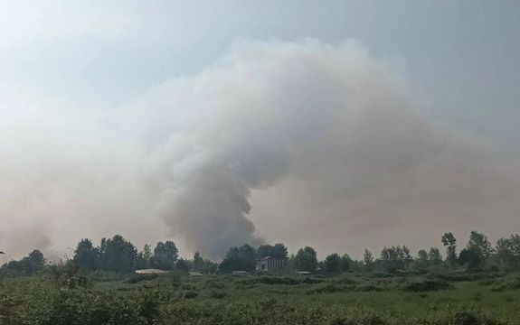 چهار نفر به دلیل آتشسوزی در تالاب انزلی بازداشت شدند