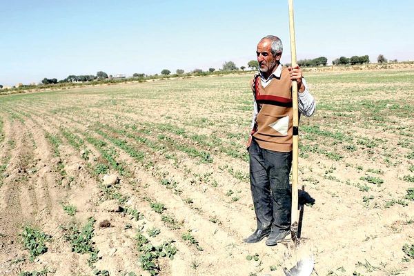 انهيار النظام الإداري والتنظيمي والعلمي في مجال الزراعة بإيران