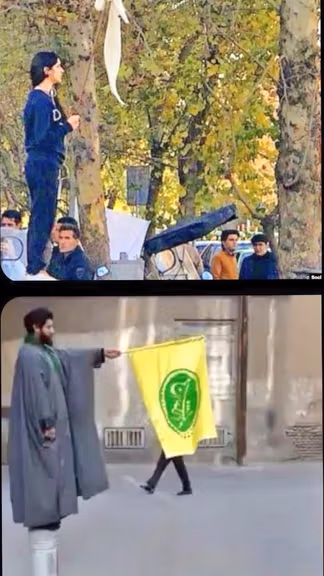 Vida Movahed (top) and Mehdi Haghshenas