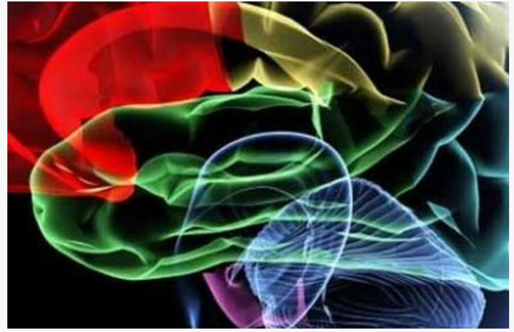 مغز انسان، هوشمندانه اطلاعات پیچیده اجتماعی را ساده‌سازی و مدیریت می‌کند