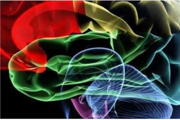 مغز انسان، هوشمندانه اطلاعات پیچیده اجتماعی را سادهسازی و مدیریت میکند