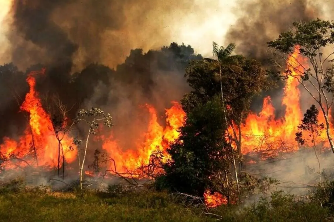 مقامات مسئول علت آتش‌سوزی جنگل‌های الیت مازندران را به عامل انسانی نسبت دادند