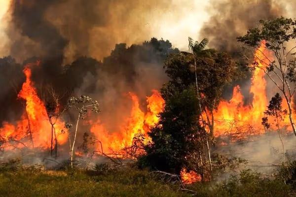 Iran suspects human cause in northern forest fire, probes land development ties