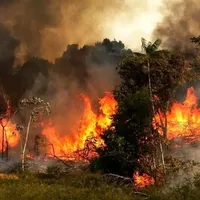 Iran suspects human cause in northern forest fire, probes land development ties