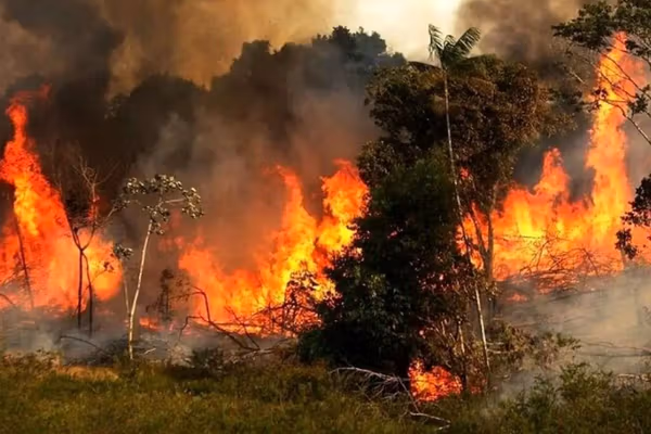 مقامات مسئول علت آتشسوزی جنگلهای الیت مازندران را به عامل انسانی نسبت دادند