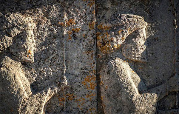 گلسنگ‌ها و بی‌توجهی‌ها نقش‌های تخت‌جمشید را می‌بلعند