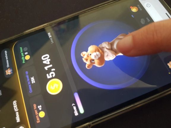 پلیس فتا از تشکیل ۱۸ پرونده «کلاهبرداری» درباره بازی همستر خبر داد