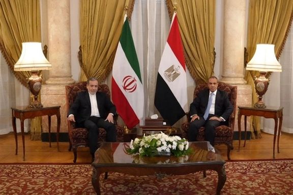 Top Iran envoy's Cairo visit may signal thaw to long frozen ties