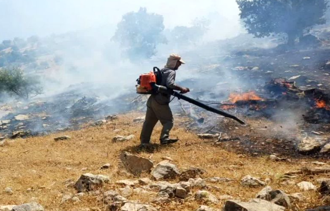 Wildfire burns through the Khaiez protected area on Badil Mountain near Behbahan in Iran's Khuzestan province.