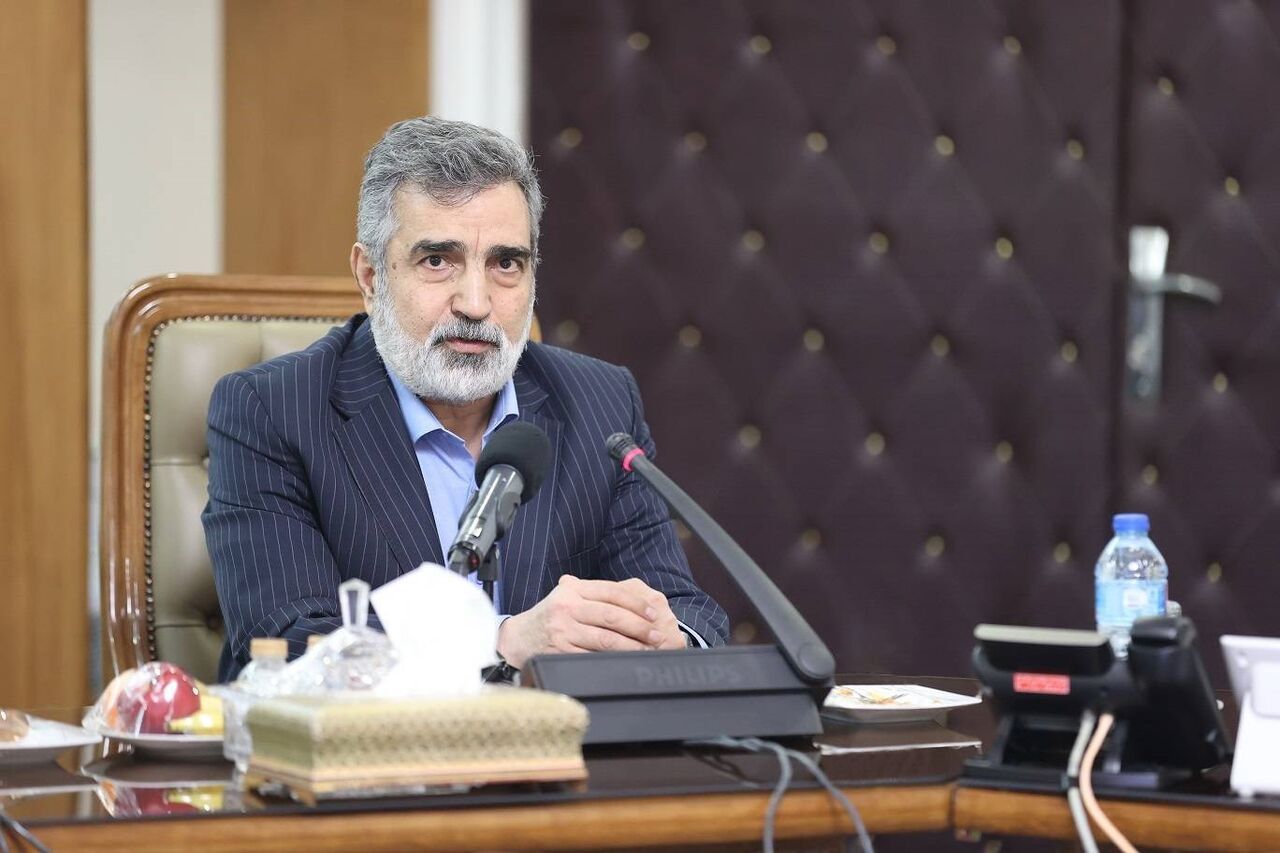 معاون سازمان انرژی اتمی: برای تقابل آماده‌ایم اما تعامل را ترجیح می‌دهیم