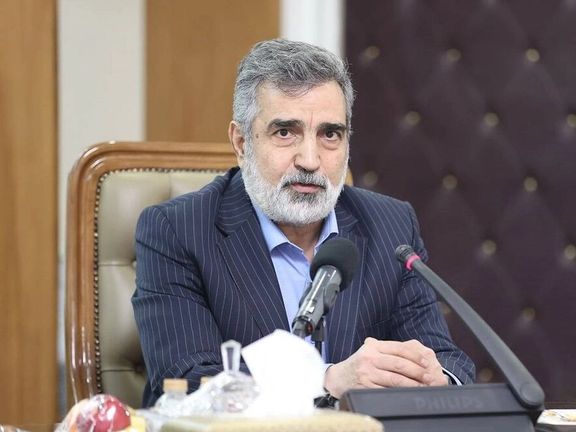 معاون سازمان انرژی اتمی: برای تقابل آمادهایم اما تعامل را ترجیح میدهیم