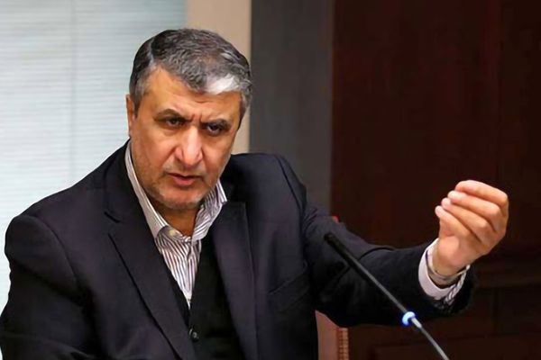 رئيس هيئة الطاقة الذرية الإيرانية: التحكم بعجلة صناعتنا النووية يتم في طهران وليس فيينا