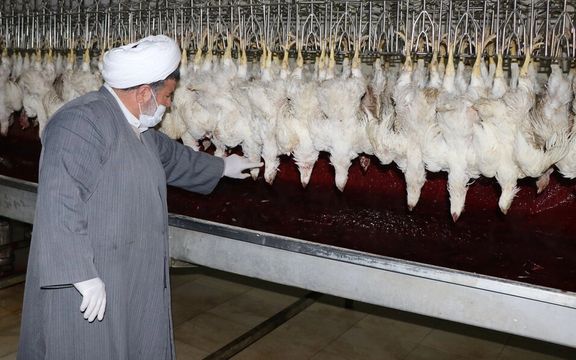 عوارض خاص جمهوری اسلامی؛ از هزینه تماشای کشتار دام تا هزینه آزادسازی مدرک