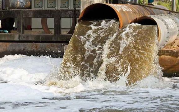 صادرکننده میگو در بوشهر: محصولاتمان را بهدلیل آلودگی به فاضلاب شهری پس میفرستند