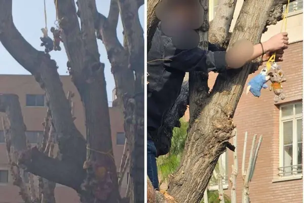 Khamenei ‘rat’ taunt spills from social media onto Iran’s campuses