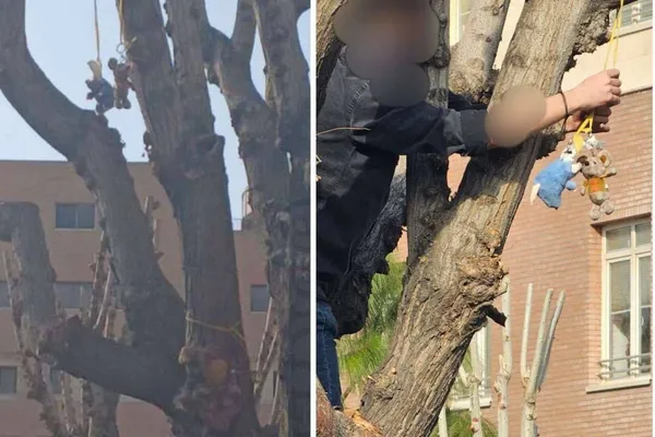 How a stuffed rat signaled spread of a protest nickname for Khamenei