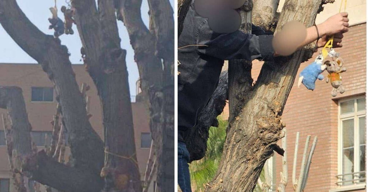 Khamenei ‘rat’ taunt spills from social media onto Iran’s campuses