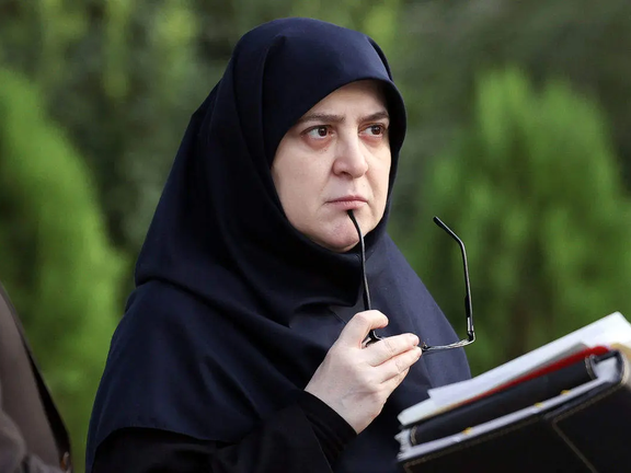 سخنگوی دولت: تنها راهی که برای بحران انرژی به ذهنمان میرسد این است که مردم کمتر مصرف کنند