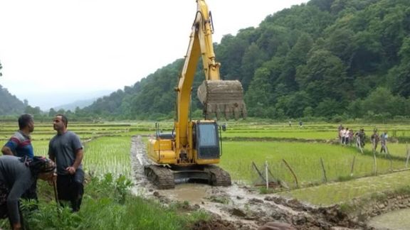 ماموران مزارع برنج بهائیان را در احمدآباد مازندران تخریب کردند