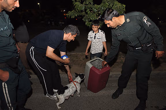 Police forcing a man to get his dog off the street.