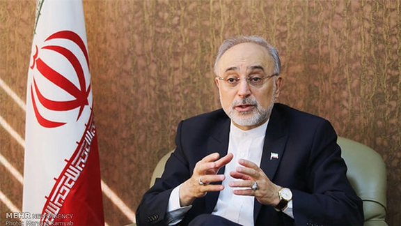 صالحی: در زمینه نیروگاههای اتمی، ۵۰۰ میلیون یورو به روسها بدهکاریم