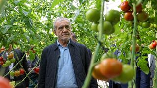 Iran's President Pezeshkian loses role as 'good cop'