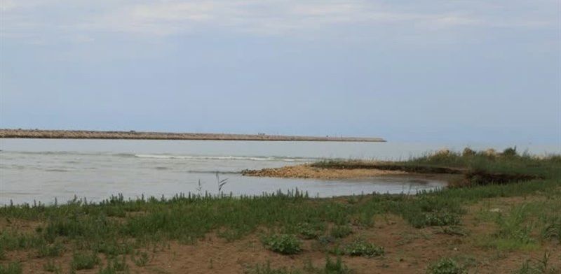  تالاب بین‌المللی میانکاله در آستانه نابودی قرار گرفته است