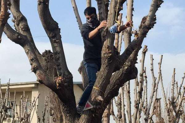 رضا دالمن بهدلیل آویزان کردن عروسک یک موش و «توهین به خامنهای» از دانشگاه شریف اخراج شد