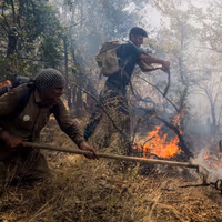 In Iran’s Zagros, villagers fight oak forest fires the state cannot contain