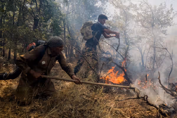 In Iran’s Zagros, villagers fight oak forest fires the state cannot contain