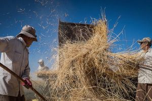 وزیر کشاورزی جمهوری اسلامی: از نظر تامین امنیت غذایی در سختترین شرایط قرار داریم