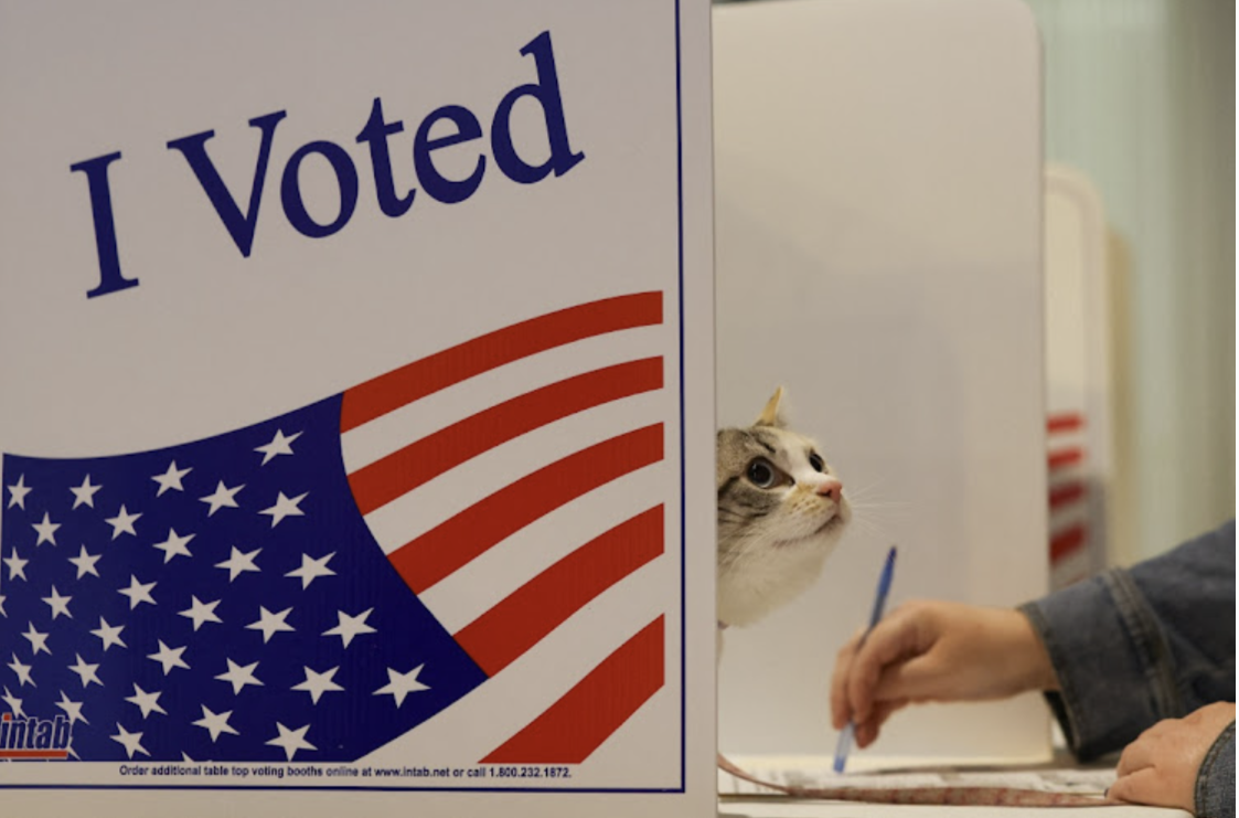 ترامپ فرمان جدیدی امضا کرد که اثبات تابعیت آمریکایی را برای رای دادن الزامی می‌کند