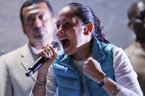 لوئیسا گونزالس، وکیل ۴۷ ساله چپگرا