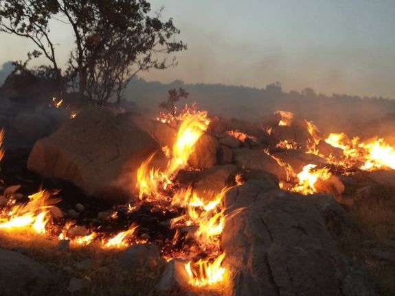 منابع طبیعی استان فارس: آتشسوزی در ارتفاعات سعادتآباد مردوشت با گذشت دور روز ادامه دارد