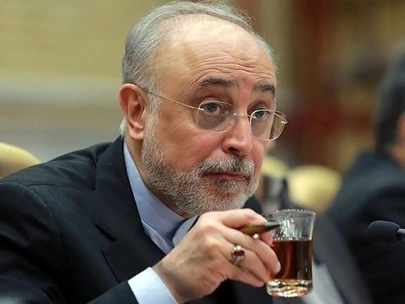 علیاکبر صالحی: اگر آمریکا آغازگر جنگ علیه ایران باشد، پایاندهنده آن نخواهد بود