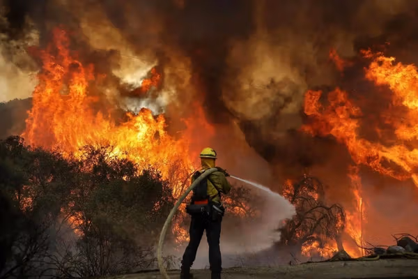 ۱۸۰ هکتار از جنگلهای الیت مازندران درگیر آتشسوزی شد