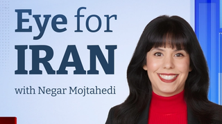 'Iranians for Trump' movement launches ahead of US elections