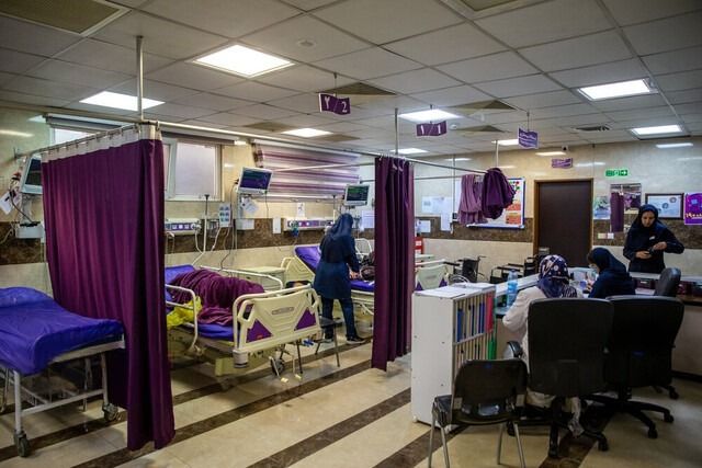 رییس یک بیمارستان در تهران: آماری از اهدای تخمک و اجاره رحم در ایران وجود ندارد