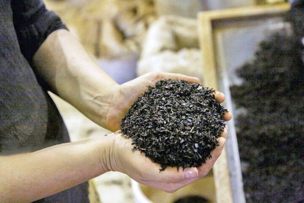 تفاصيل جديدة عن فضحية فساد "شاي دبش" في إيران.. واتهام حكومة روحاني بالتورط